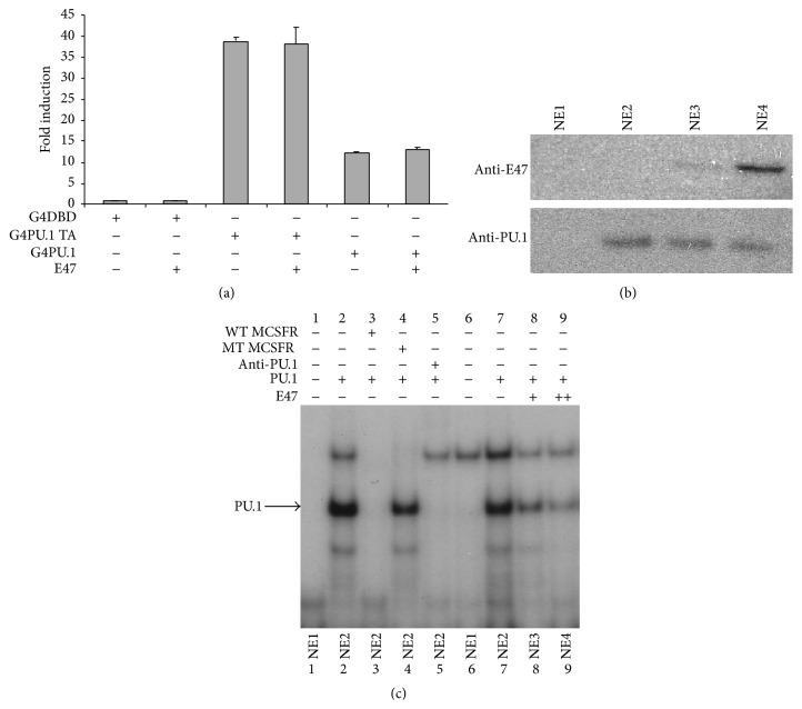 Figure 5