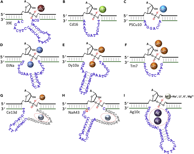 Figure 6