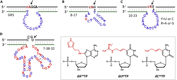 Figure 5