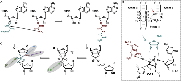 Figure 2