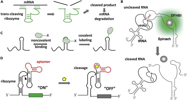 Figure 3