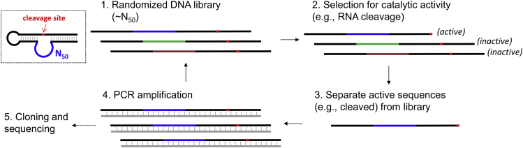 Figure 4