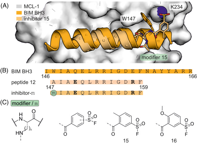 FIGURE 11