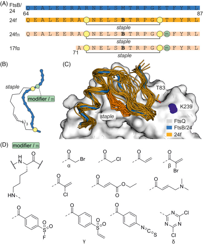 FIGURE 13