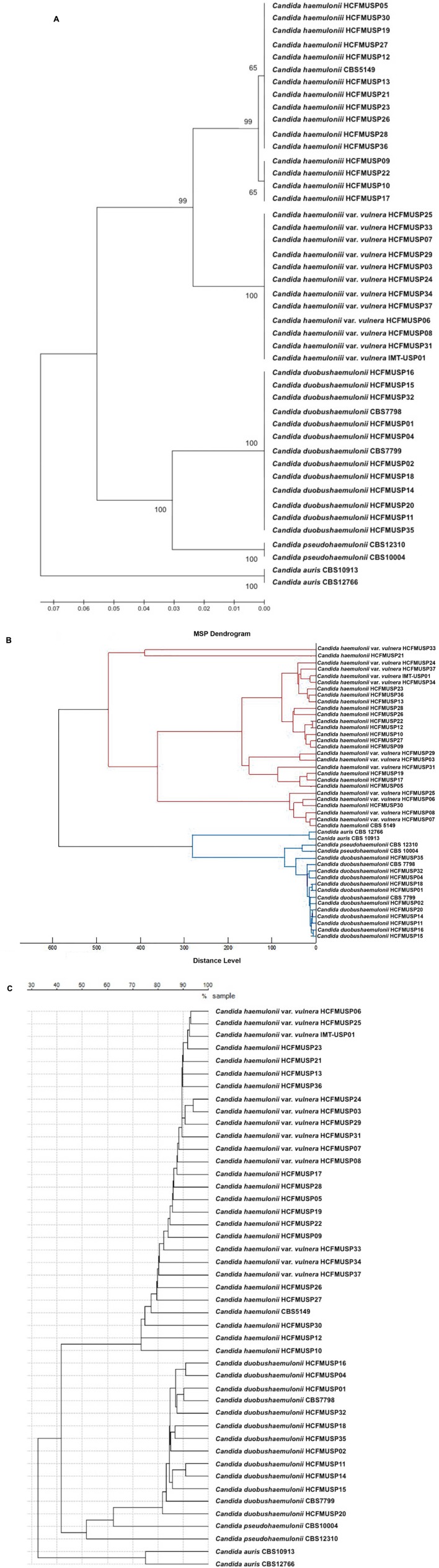 FIGURE 1