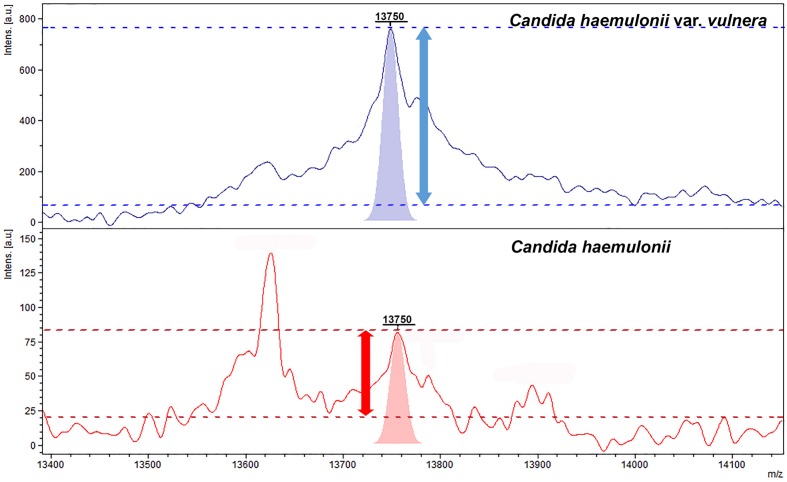 FIGURE 3