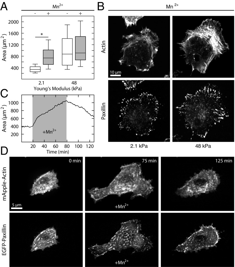 Fig. 4.