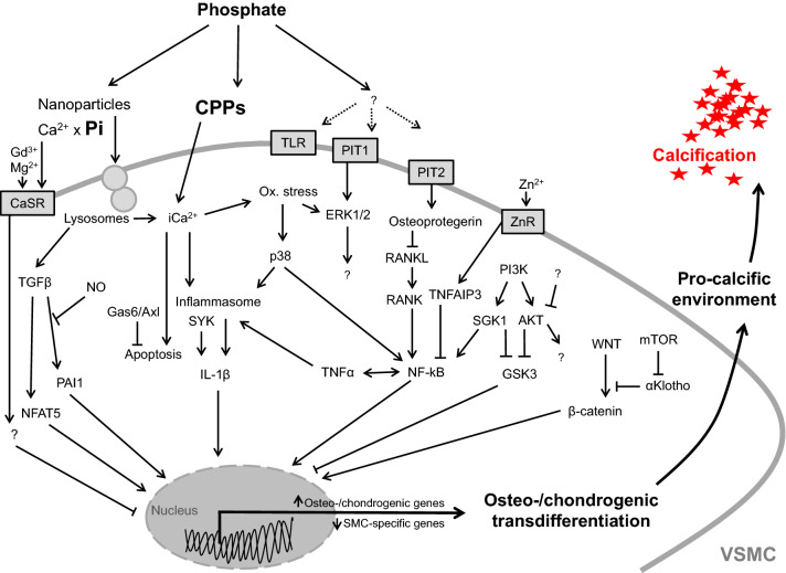 Fig. 2