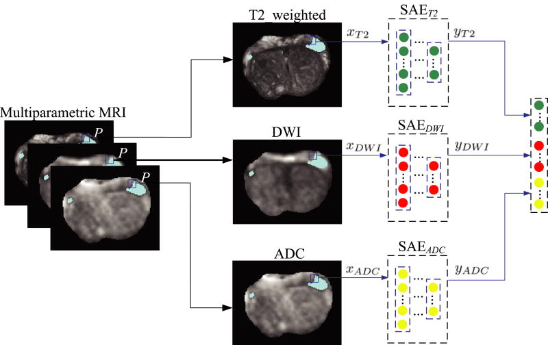 Fig. 1