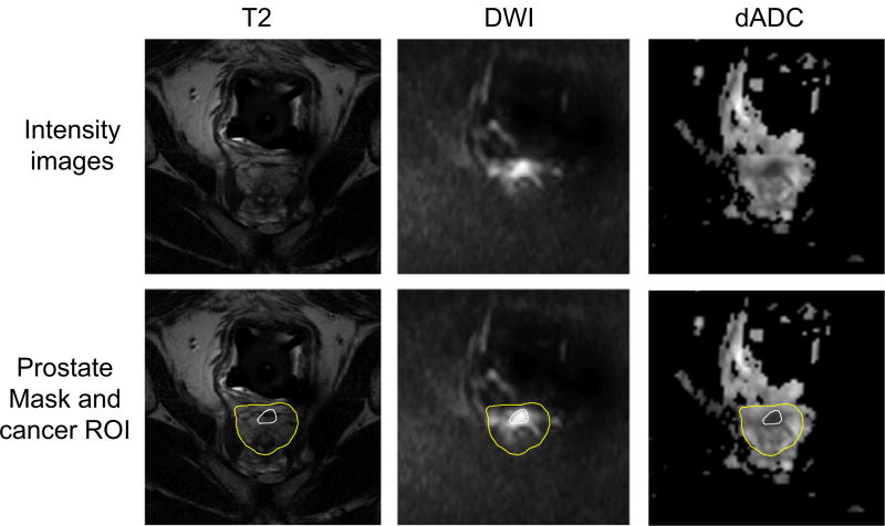 Fig. 3