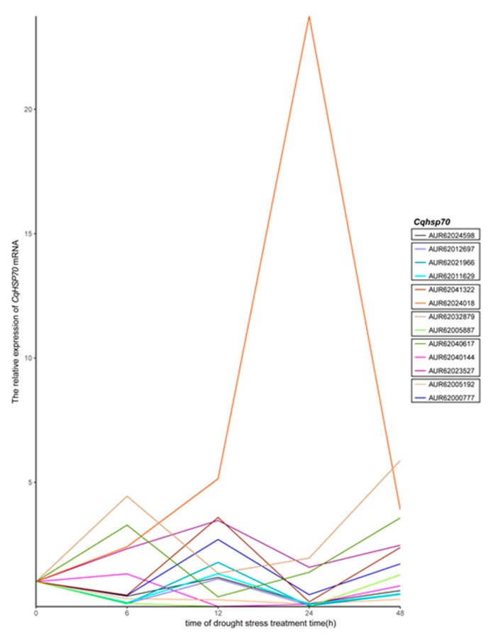 Figure 6