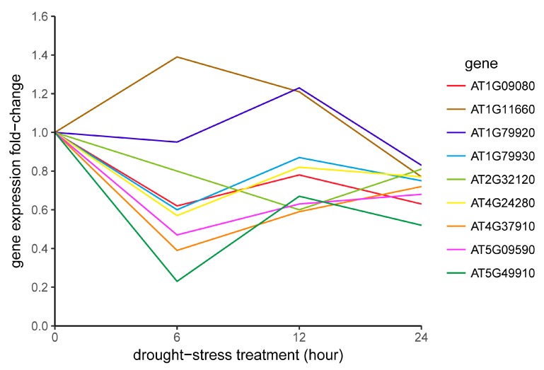 Figure 7