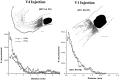 Fig. 9.