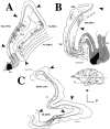 Fig. 3.
