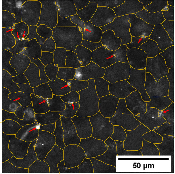 Fig. 4