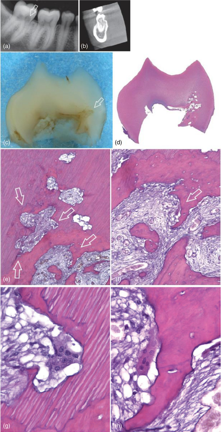 FIGURE 6