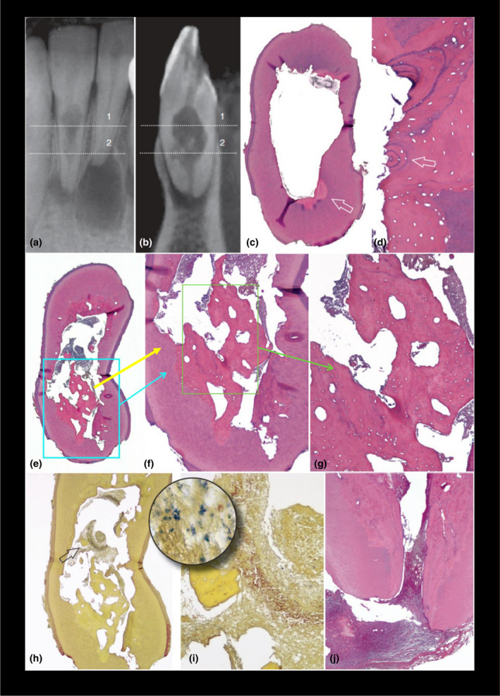 FIGURE 2