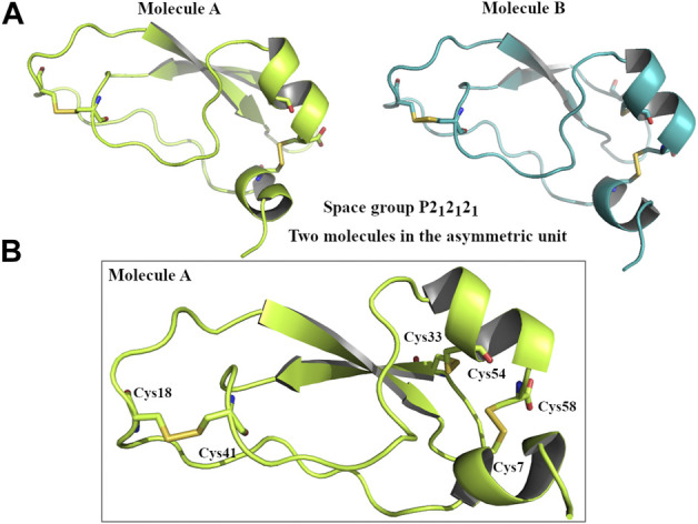 FIGURE 2