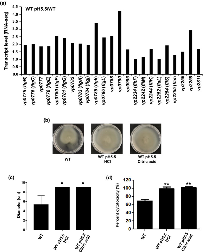 FIGURE 6