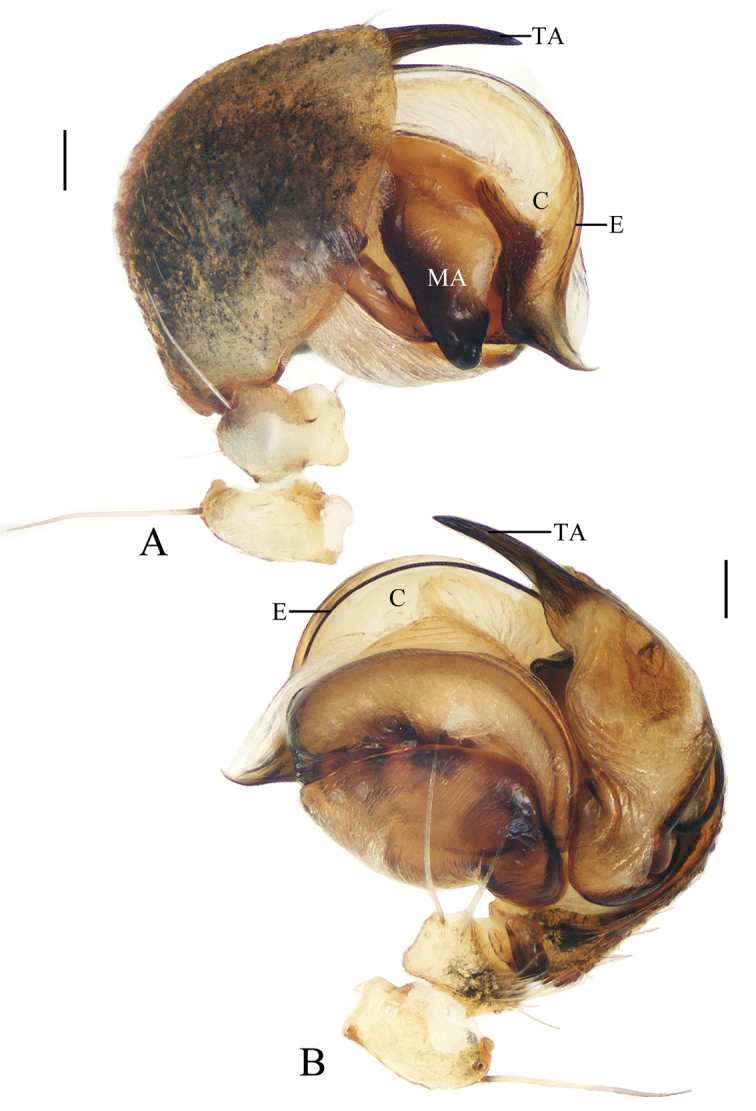 Figure 11.