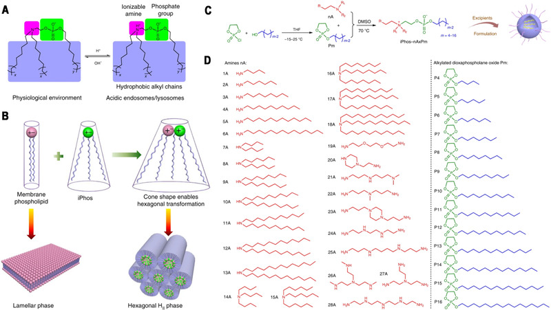 FIGURE 6