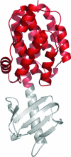 FIG. 2.