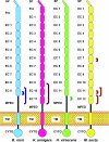 FIG. 10.