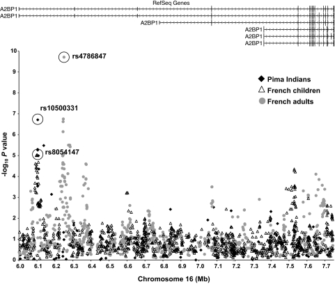 FIG. 2.