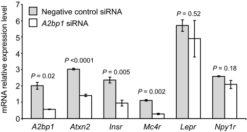 FIG. 4.