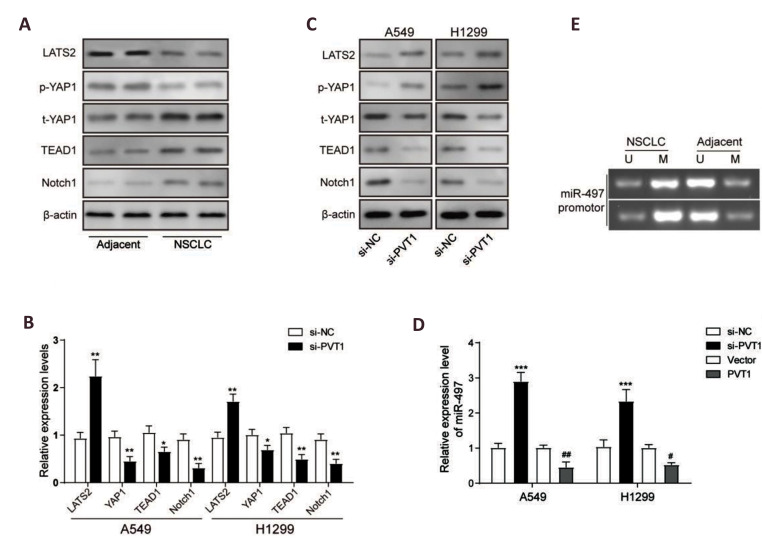 Fig.2