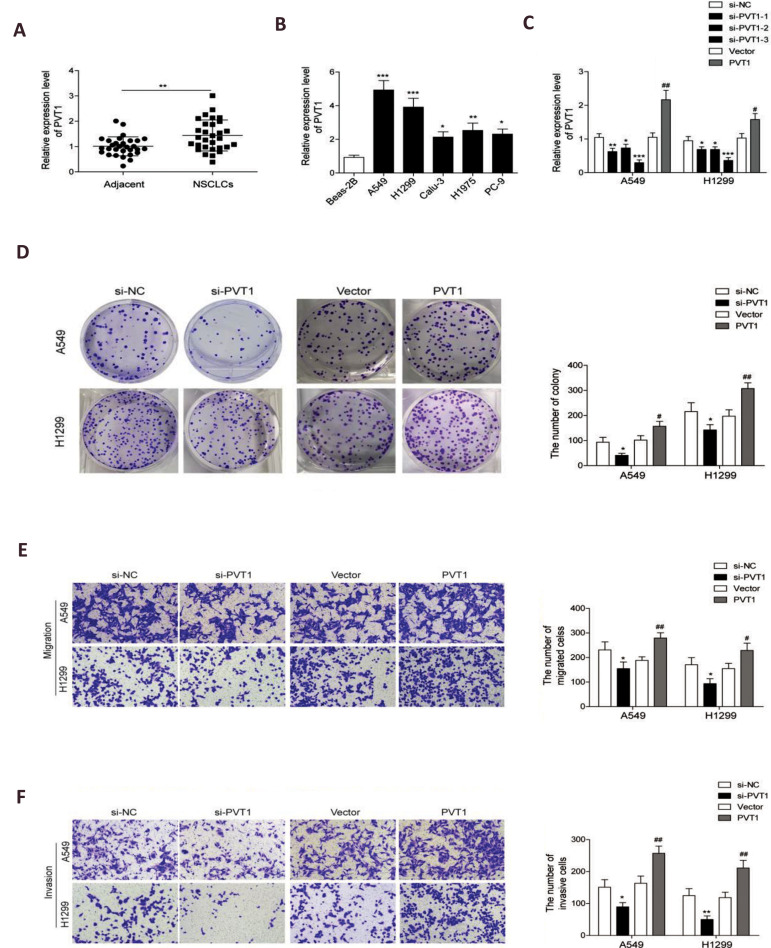 Fig.1