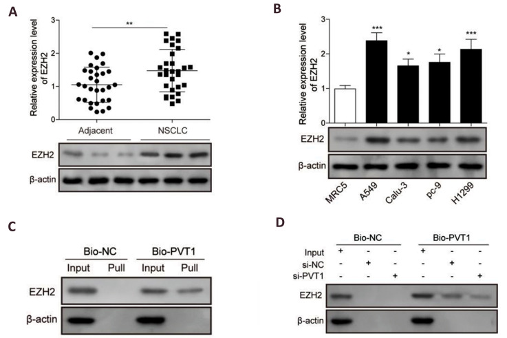 Fig.3