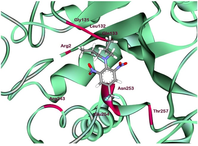 FIGURE 6