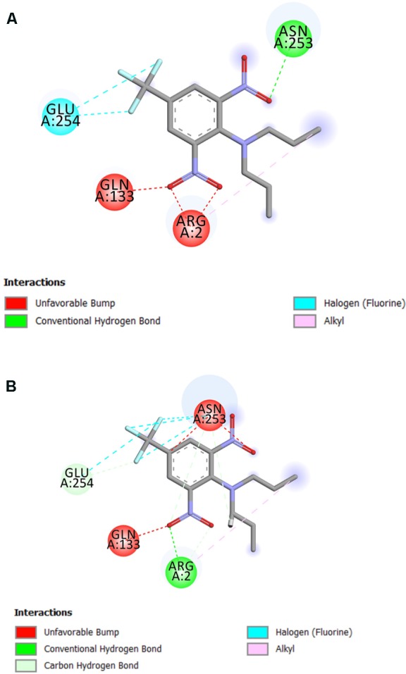 FIGURE 11