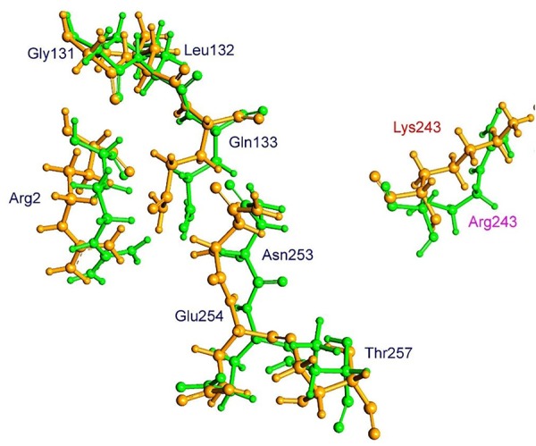 FIGURE 9