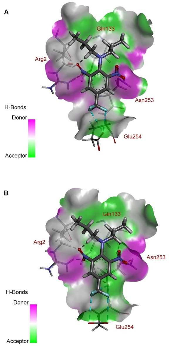 FIGURE 10