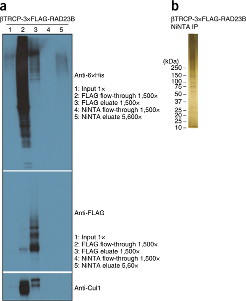 Figure 3 |