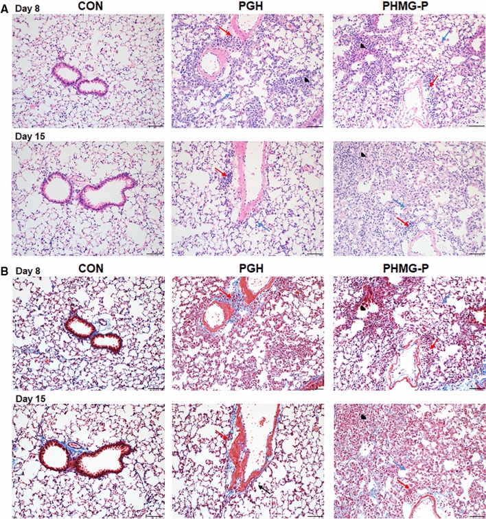 Fig. 4