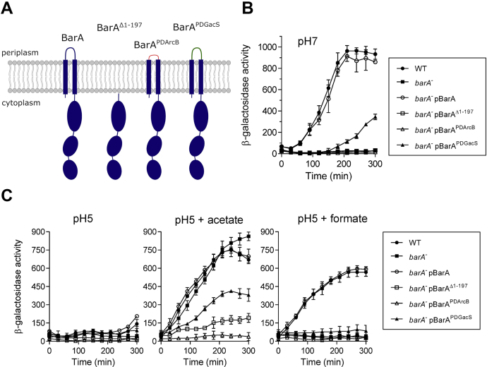 Figure 1