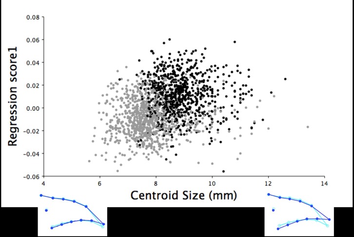 Fig 10