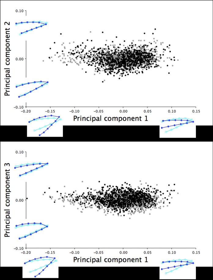 Fig 12