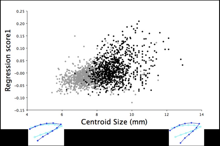 Fig 15