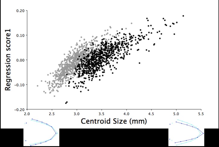 Fig 5