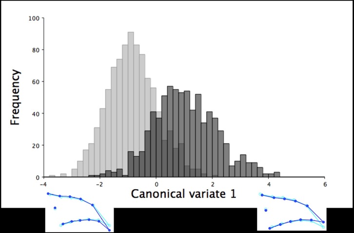 Fig 11