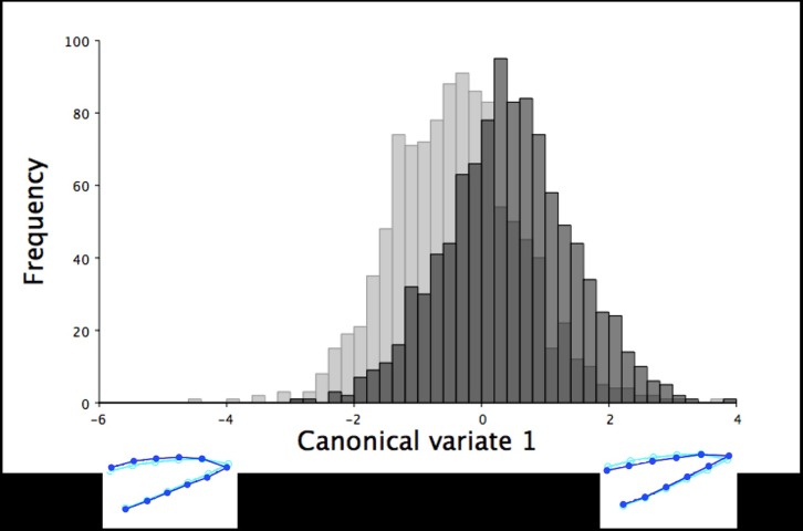 Fig 13