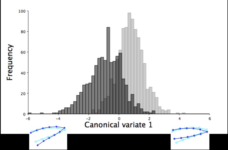 Fig 16