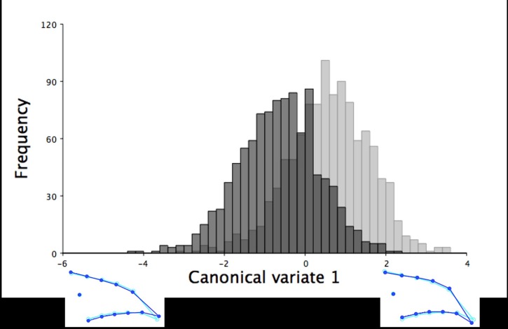 Fig 8