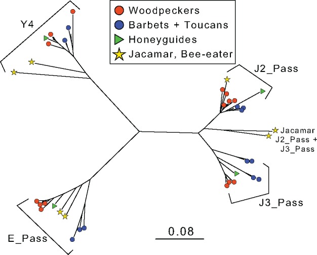 Fig. 4.