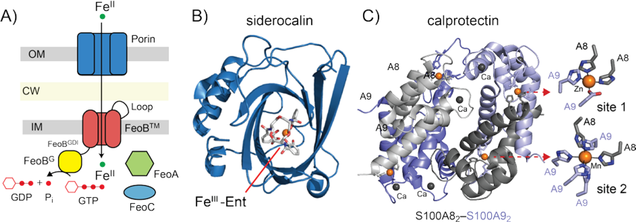 Figure 5.