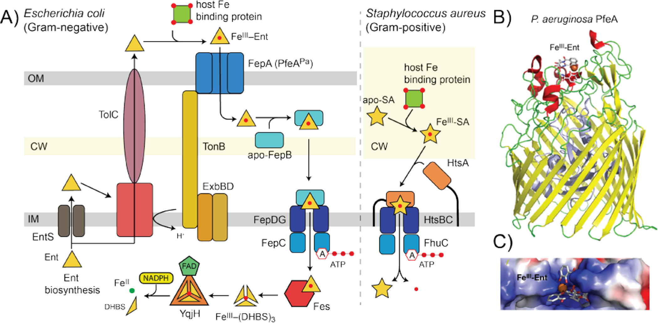 Figure 3.